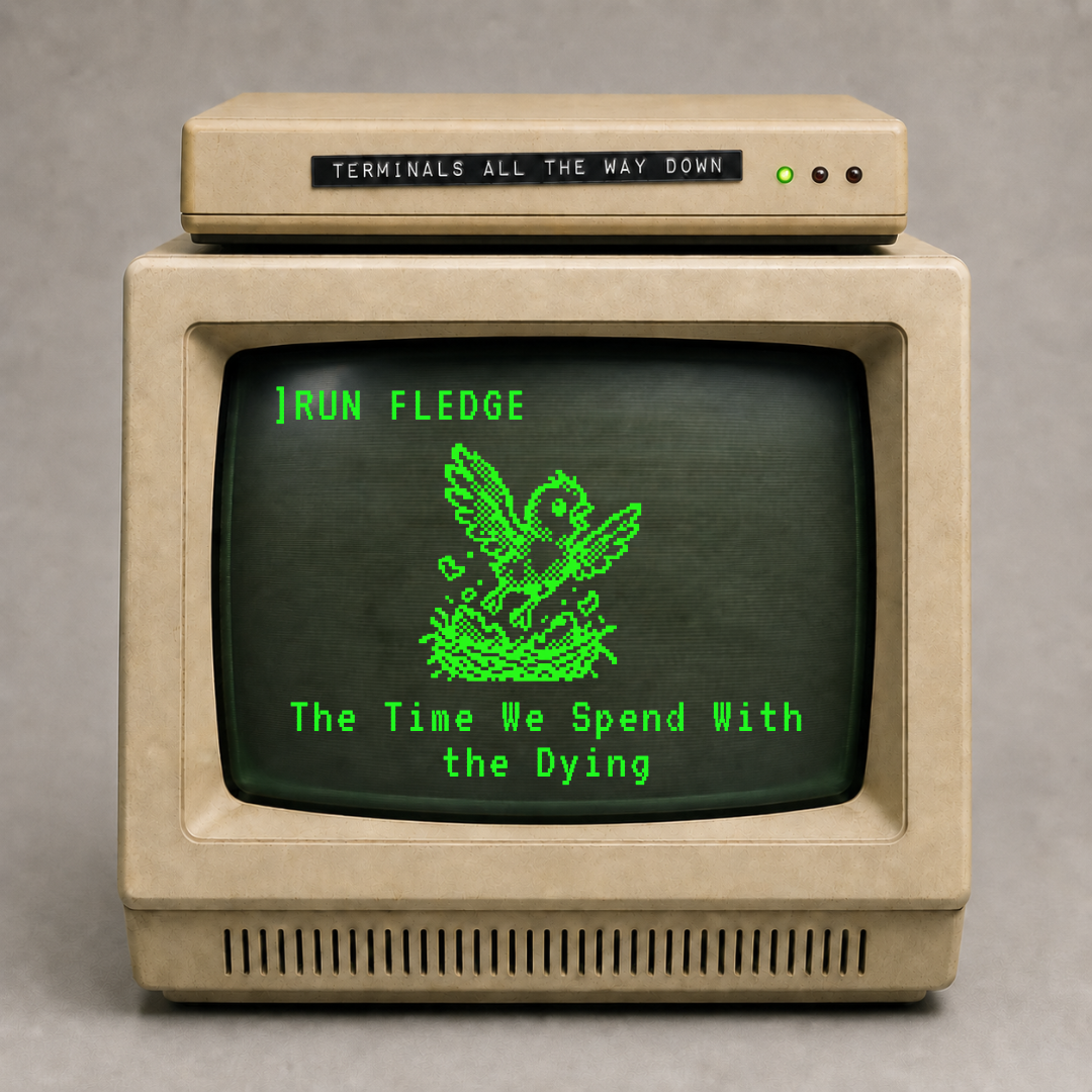 The_Time_We_Spend_With_the_Dying